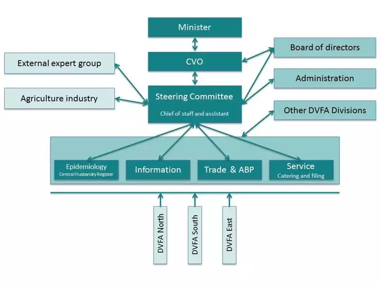 Illustration of the structure of the organisation.