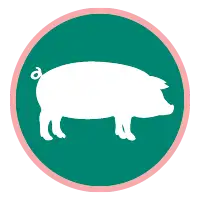 Icon pig 